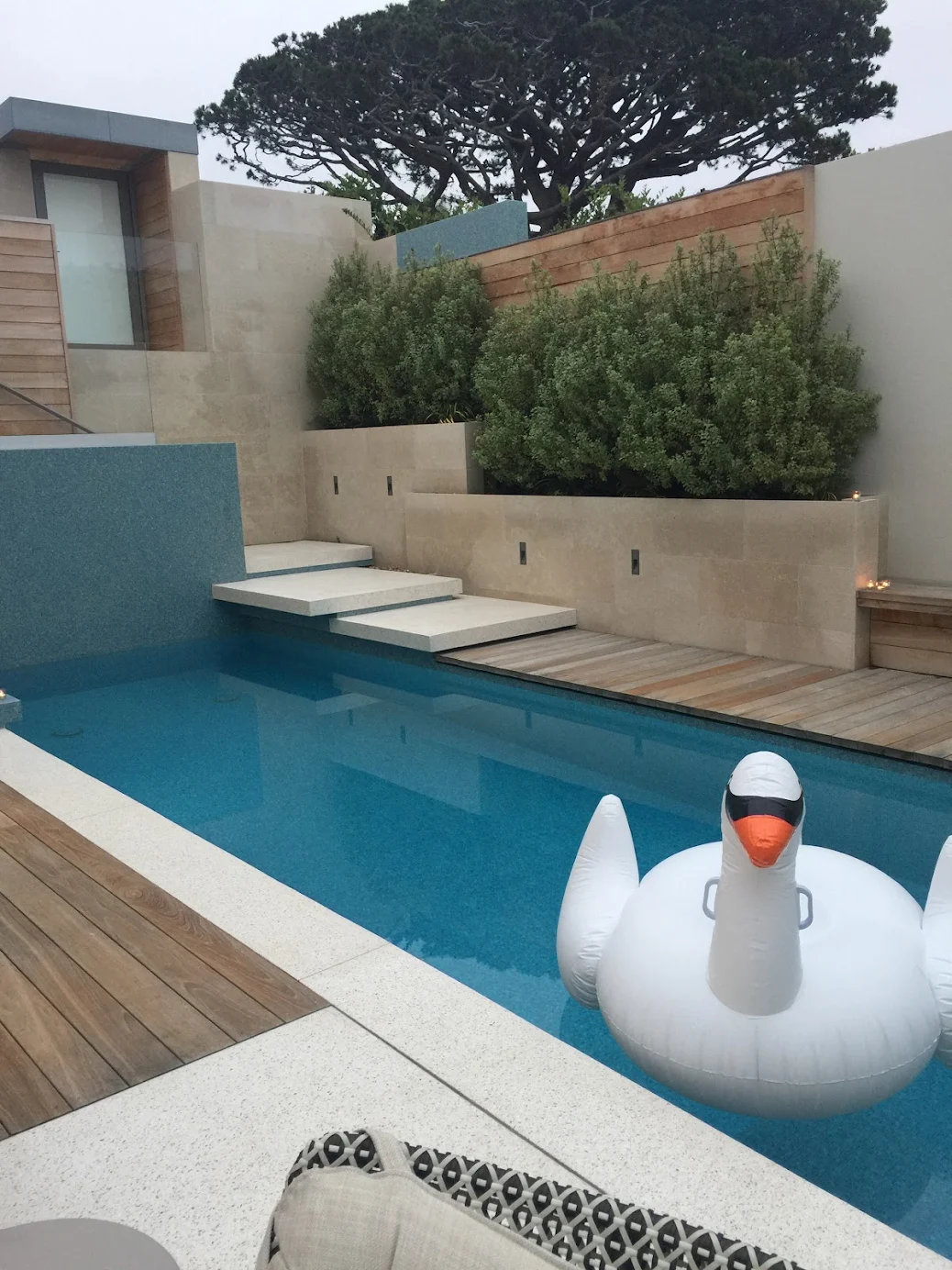 cta banne pool las vegas